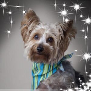 Meet your Posher, Michele